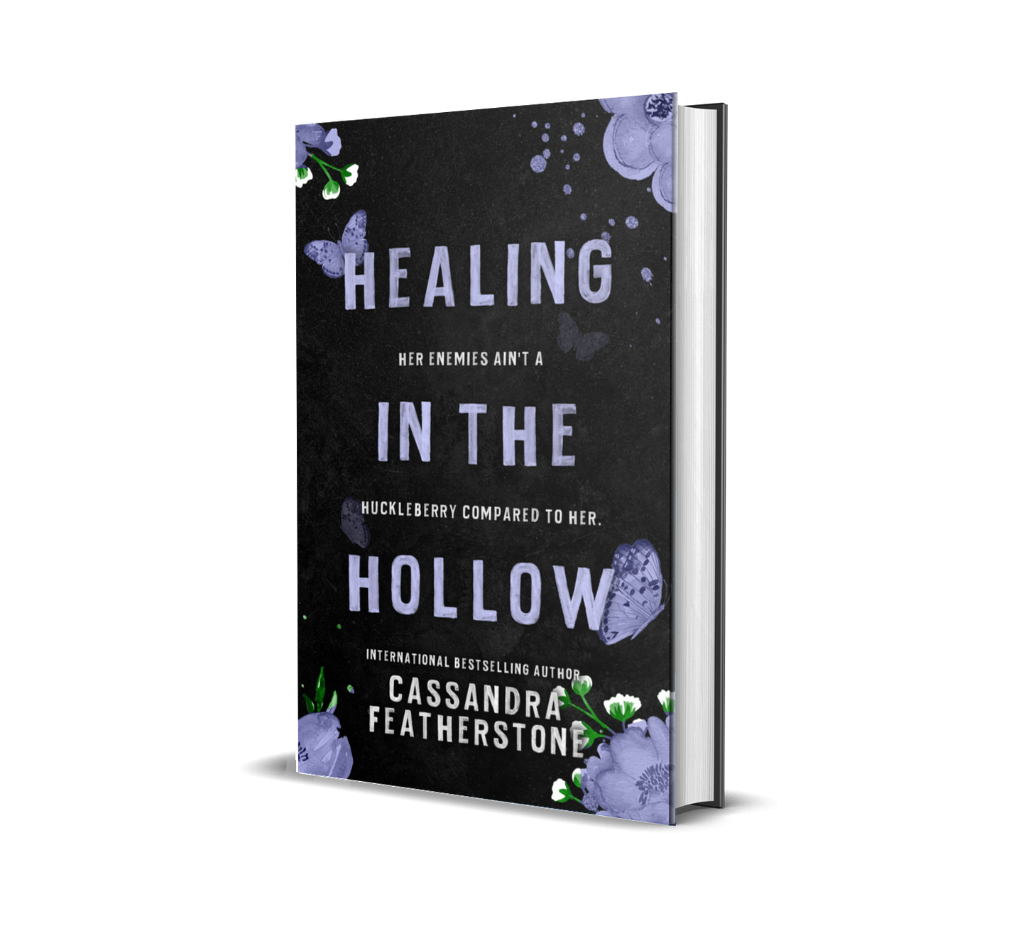 Healing in the Hollow: A Steamy,Humorous, Paranormal Small Town Shifter Romance Omnibus (Copy)